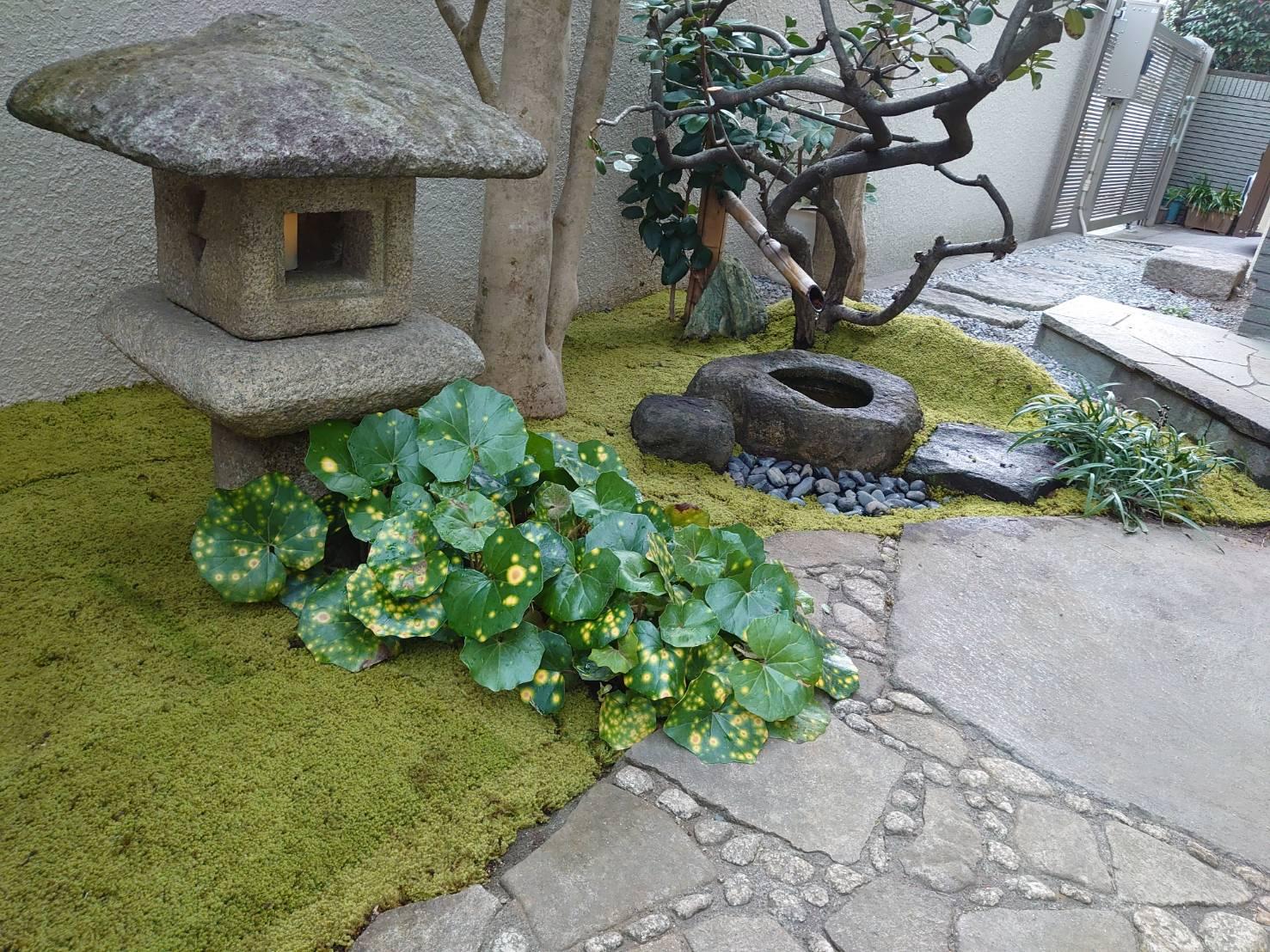 庭園工事を行いました