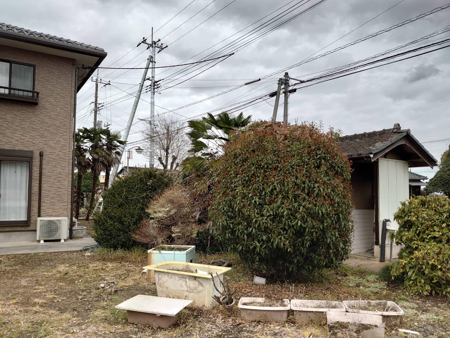 庭木の伐採、剪定と清掃を行いました