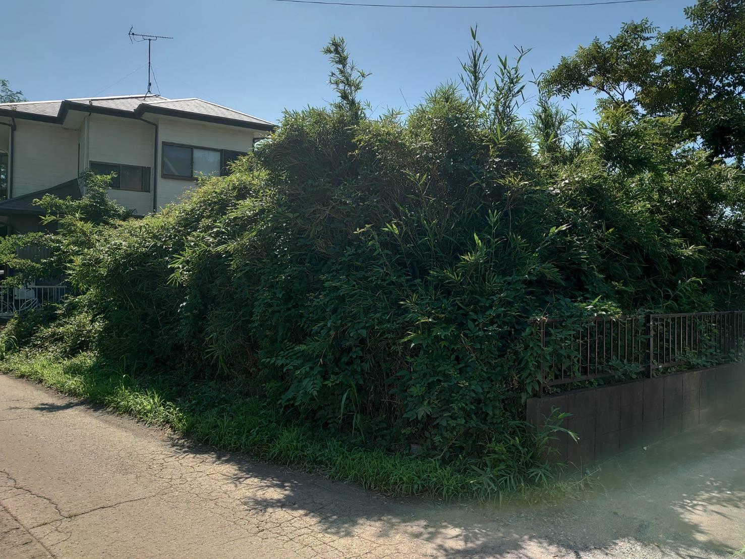 伐採・伐根を行いました