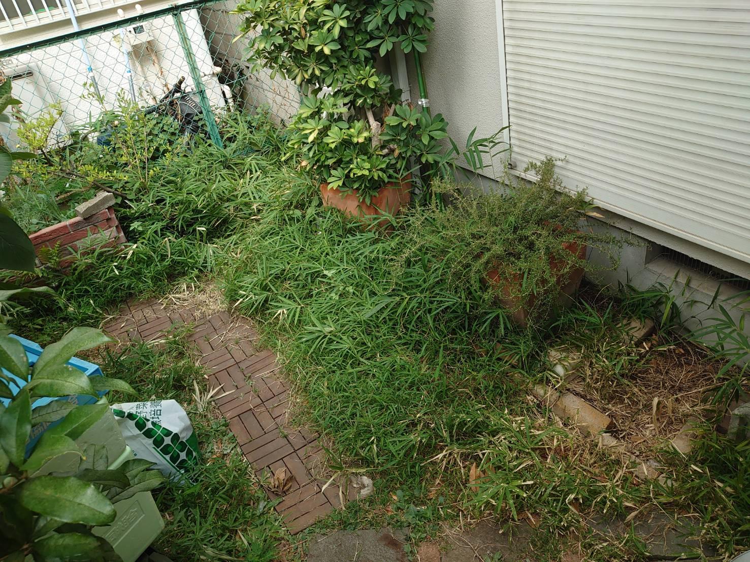 お庭の整備を行いました